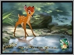 Bambi 2, jelonek