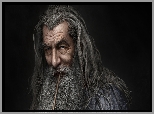 Ian McKellen, Czarodziej, Gandalf Szary, Twarz, Portret, Hobbit