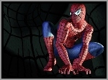 Film, Spider-Man