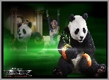 Tekken Blood Vegeance, Panda