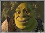 Shrek 1, ogr