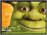 Shrek 2, twarz