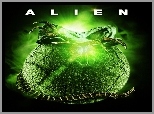 Alien, 8, Pasażer, Nostromo
