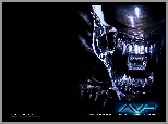 Alien Vs Predator 1, stw�r, szcz�ka