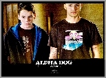 Alpha Dog, Justin Timberlake, Anton Yelchin