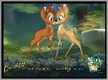 jelonki, Bambi 2