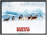 Antarktyda, Eight Below