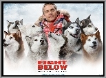 Eight Below, Paul Walker, psy