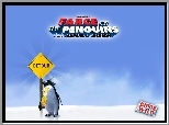 pingwin, Farce Of The Penguins, znak, drogowy