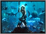 Film, Aquaman, Aktor, Jason Momoa