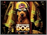 Firehouse Dog, pies, strażak