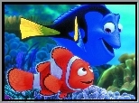 Gdzie jest Nemo, Finding Nemo, Dwie, Rybki