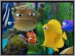 Gdzie jest Nemo, Finding Nemo, Akwarium