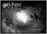 Film, Harry Potter