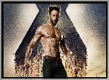 Hugh Jackman, X Men