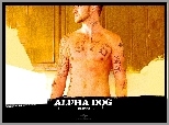 Justin Timberlake, Alpha Dog