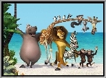 Madagaskar 2