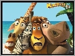 Madagaskar, Żyrafa, Zebra, Lew, Hipopotan