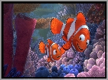 Film animowany, Gdzie jest Nemo, Finding Nemo, Ojciec, Marlin