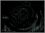 Matrix, czarne, plamy, napis
