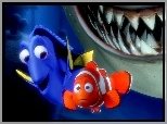 Gdzie jest Nemo, Finding Nemo, Bajka, Nemo, Rekin