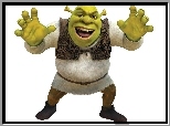 Shrek, Ogr