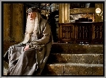 Harry Potter, Film