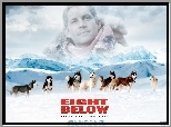 psy, góry, Eight Below, Paul Walker