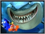 rekin, rybki, Gdzie jest Nemo, Finding Nemo