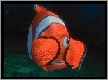 Rybka, Gdzie jest Nemo, Finding Nemo