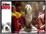 The Shaggy Dog, pies, buddyzm, Azjaci, modły