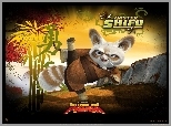 Shifu, Kung Fu Panda