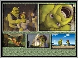 zdjęcia, Shrek 2