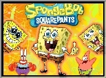 Spongebob, Kanciastoporty