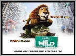 Sam, Stan, Film animowany, Dżungla, The Wild
