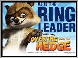 Szop RJ, Skok przez płot, Over the Hedge