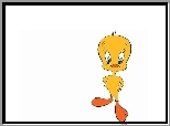 Tweety, Kurczaczek