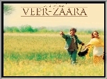 Veer Zaara, łąka, kwiaty, para