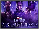 Film, Black Panther Wakanda Forever, Czarna pantera Wakanda w moim sercu, Postacie, Plakat