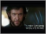 Wolverine Origins