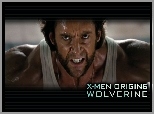 X_Men Wolverine Origins