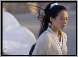 Hero, Zhang Ziyi