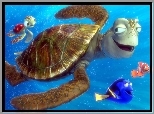 żółw, rybki, Gdzie jest Nemo, Finding Nemo