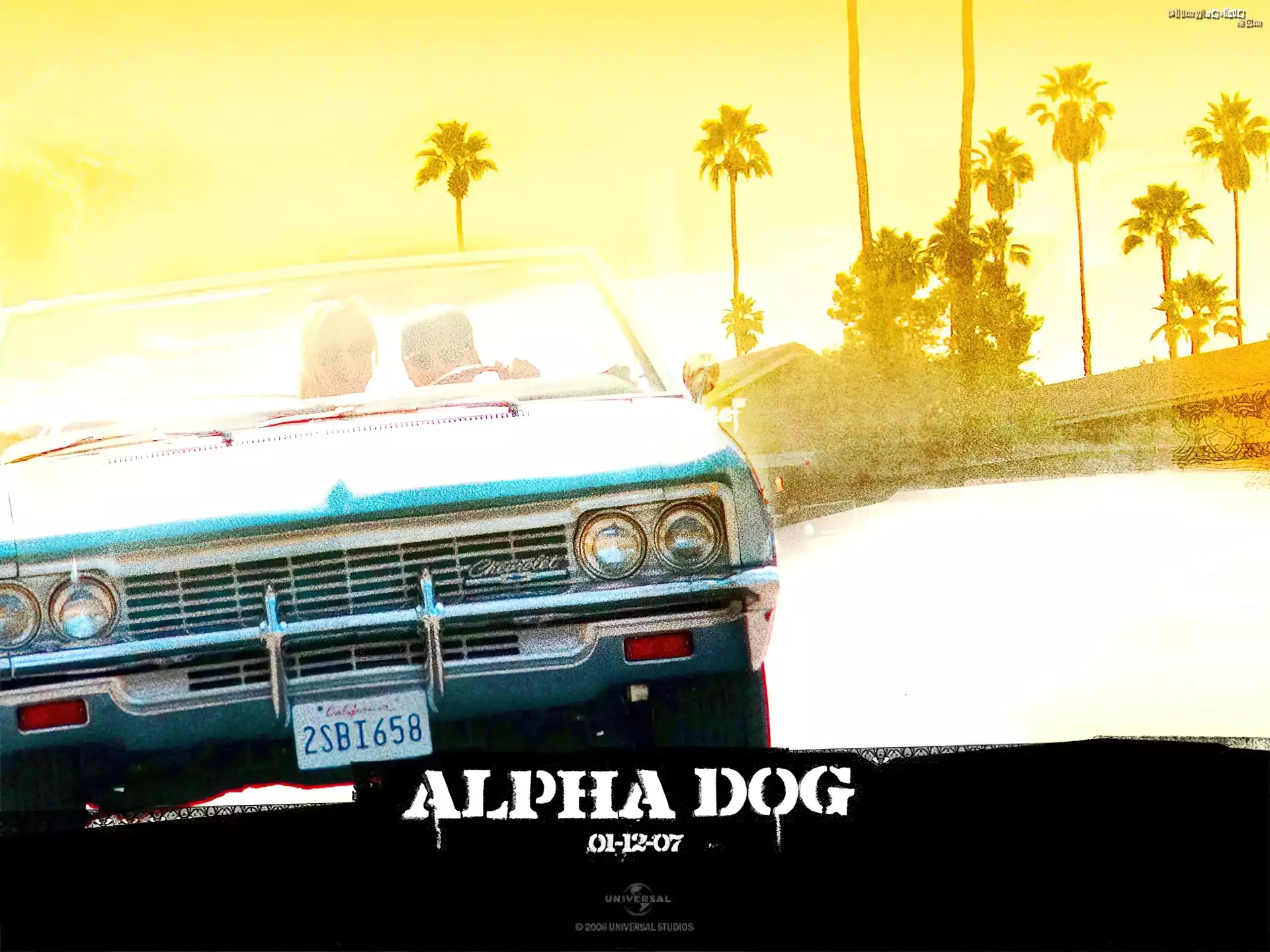 Alpha Dog, samochód, palmy