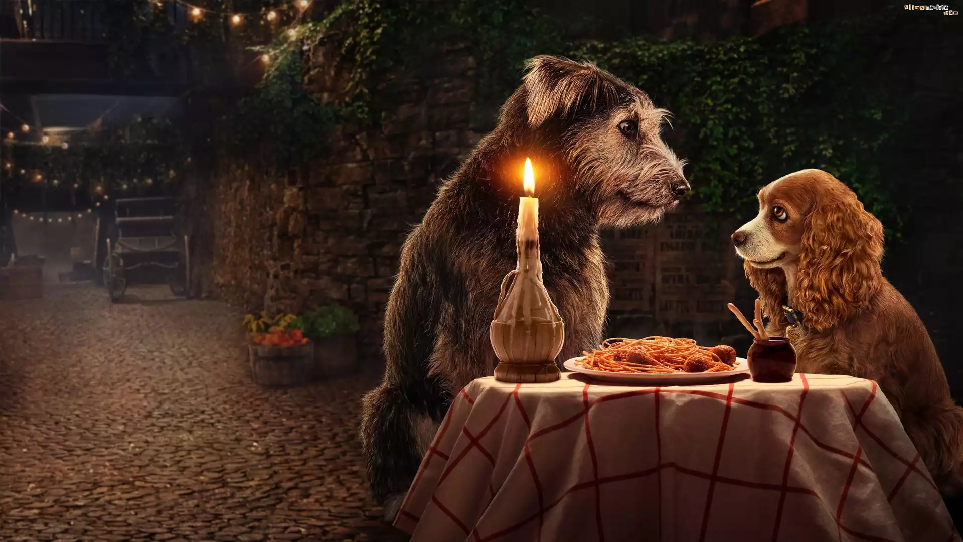 Film, Lady and the Tramp, Zakochany kundel, Psy, Zwierzęta, Stolik, Świeca