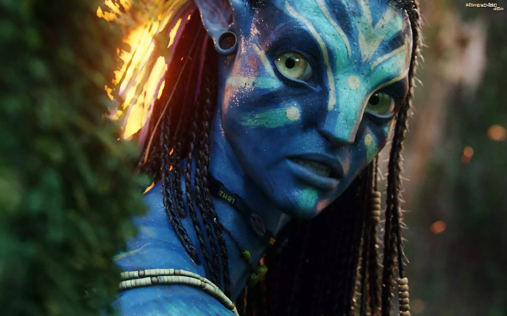 Avatar, Postać