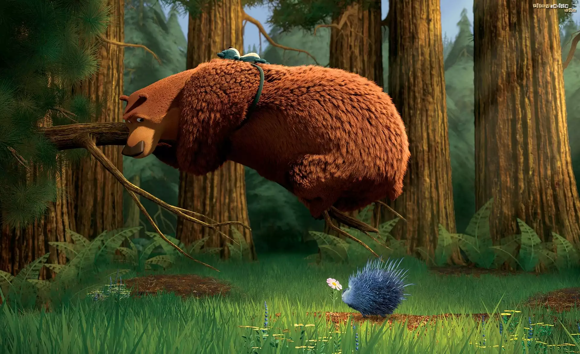 Bajka, Sezon na misia, Open Season