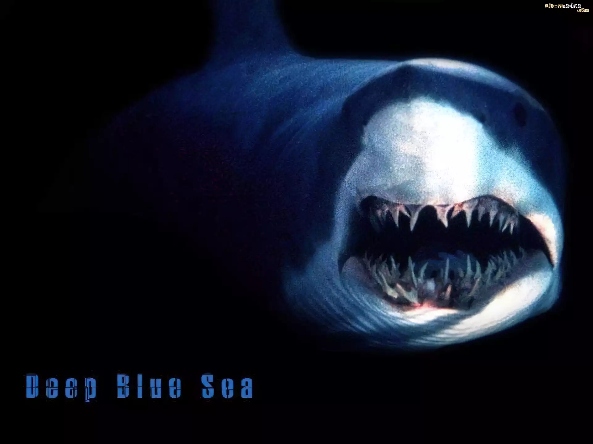 Deep Blue Sea, rekin, szczęka