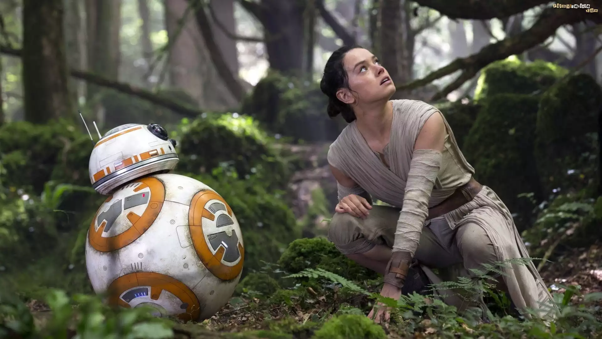 Robot, Dziewczyna, Daisy Ridley, Aktorka, Film, Gwiezdne Wojny