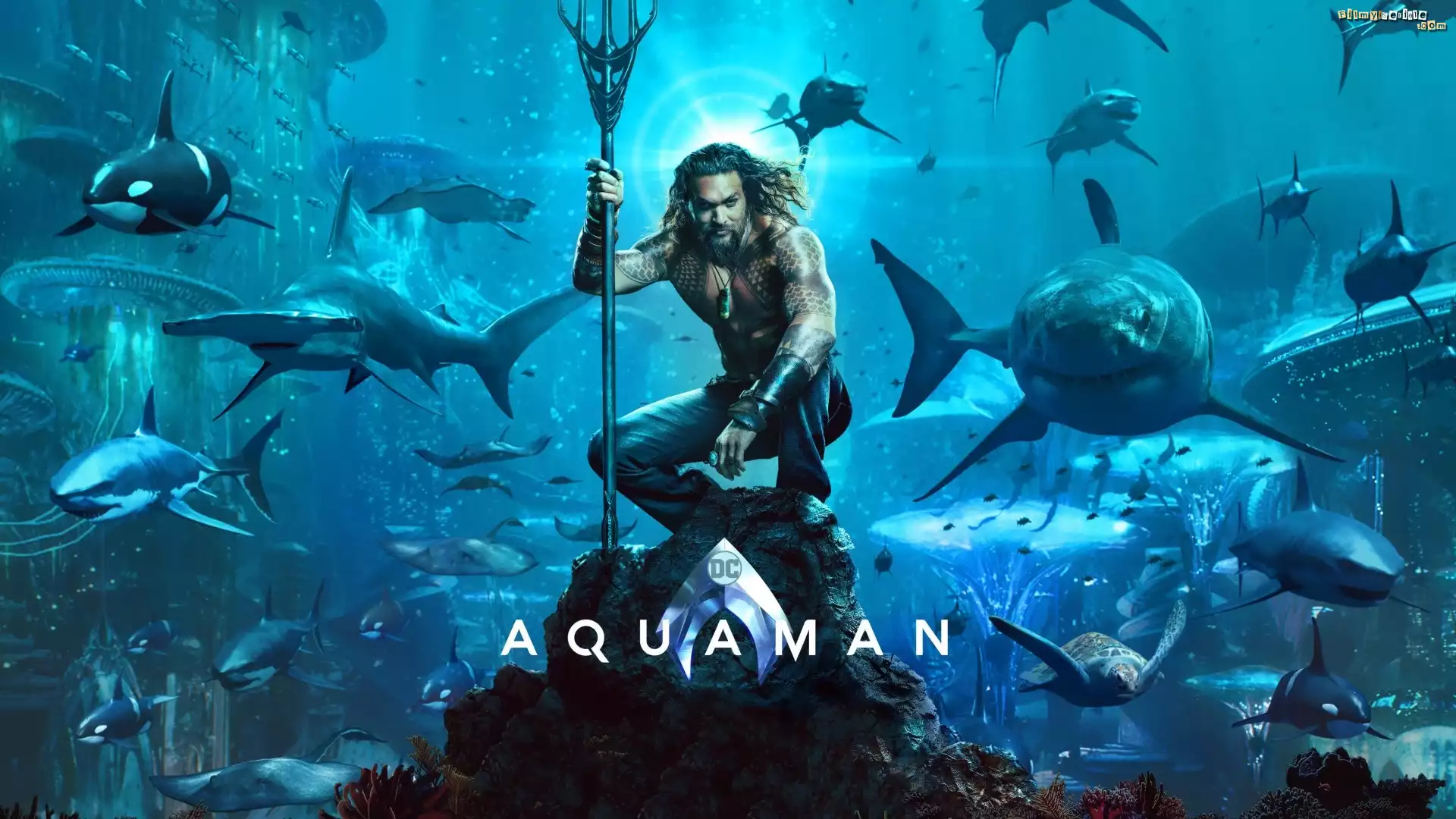 Film, Aquaman, Aktor, Jason Momoa